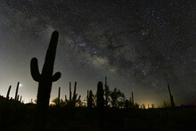 Milky Way Over Saguaro Cactus