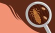 Vector illustration, head lice or Pediculus humanus capitis with eggs stuck to hair.