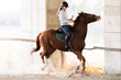 young girl rides a horse, blurred