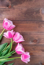 Beautiful Pink White Tulips On Dark Brown Wooden Background, Vertical, Copy Space, Top View