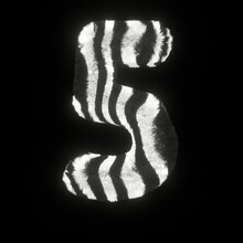 Fluffy Zebra Font Number 5