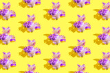 Fototapeta Lawenda - Creative pattern made of beautiful iris flowers on yellow background. Nature concept. Minimal style. Top view. Flat lay