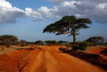 Red Dirt Road In Tsavo East National Park, Kenya