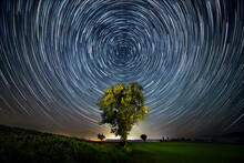 Night Sky Over Lone Tree With Circular Star Trails, Centered And Symmetrical Composition