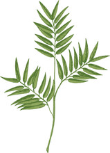 Leaves Foliage Plant Vintage Free Stock Photo - Public Domain Pictures