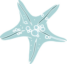 Sea Starfish Hand Drawn Colored Illustration