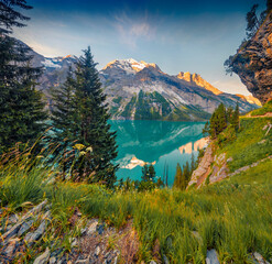 Wall Mural - exotic summer sunrise on unique oeschinensee lake. gorgeous morning scene of swiss alps with bluemli