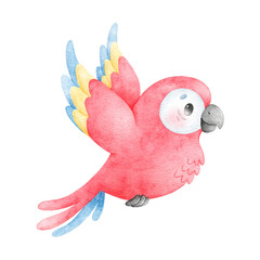 Wall Mural - Watercolor illustration of a cartoon parrot. Tropical birds. Cute watercolor animals.