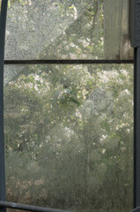 Wall Mural - abstract window background