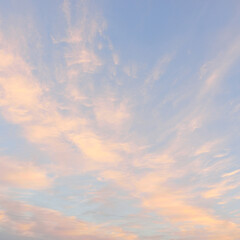 Wall Mural - Clear blue sky with glowing pink cirrus and cumulus clouds after storm at sunset. Dramatic cloudscape. Concept art, meteorology, heaven, hope, peace, graphic resources, picturesque panoramic scenery