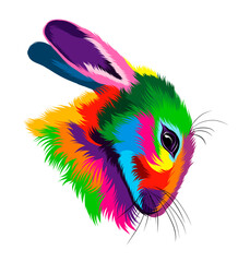 Wall Mural - Abstract rabbit head portrait, hare from multicolored paints. Colored drawing. Vector illustration of paints