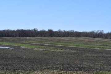 Poster - Farmland