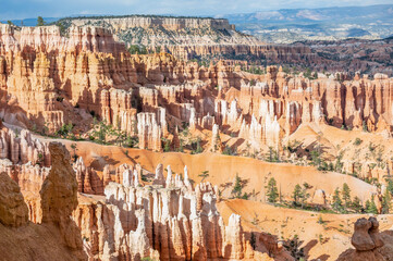 Wall Mural - Red Rocks Hoodoos in Bryce Canyon National Park, Utah