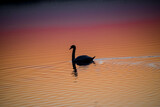 Fototapeta Łazienka - Zachód słońca nad jeziorem