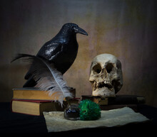 Books A Human Skull, A Raven And A Green Carnation.