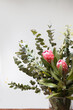 © Austockphoto - Red Protea flower