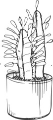 Wall Mural - cactus in flower pot line art monochrome illustration