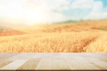 Empty Wooden Table Top With Lights Bokeh On Blur Beuatiful Rice Field 