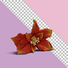 Isolated Red Fake Flower With Transparent Background.