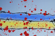 barbed wire against the blue sky. the blood of innocent people. Russia the aggressor attacked.