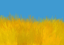 Yellow Grass And Blue Sky, Ukraine Flag, Ukrainian Colors