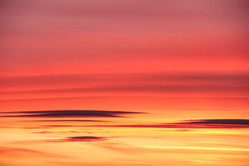 Wall Mural - Sunset and clouds. Pink shades. Close up.