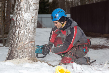 Poster - Tree surgeon. Working with a chainsaw. Sawing wood with a chainsaw.