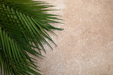 Wall Mural - Palm Sunday background with green tropical tree leaves on stone