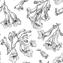 Blooming branch linear flowers of Jacaranda Black and white Vector seamless pattern. Hand drawn sketch. Elegant floral elements. Background for design packaging , textile, wallpaper, fabric