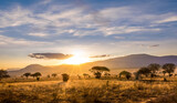 Fototapeta Uliczki - Sunset at savannah plains
