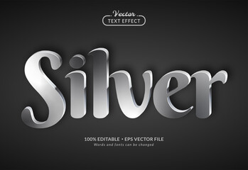 Silver 3D Editable Text Effect