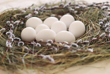 Easter Nest Of Hay And Willow Branches With White Eggs