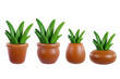 Set green plants in pot isolated on white background. Collection realistic modern minimal design elements. 3d vector illustration.