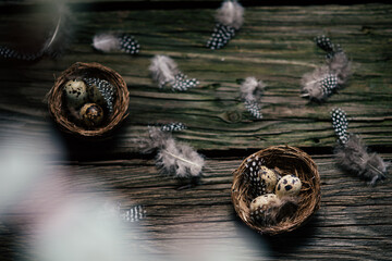 Wall Mural - Beautidul Easter decorations of quail eggs and magnolie on wooden background