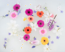 Abstract Background With Colorful Floating Flowers In Milk Bath