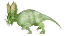 恐竜　ユタケラトプス。角竜下目ケラトプス科に属する恐竜。学名『ユタ州の角の顔』という名の示すようにアメリカ合衆国ユタ州の白亜紀の地層から発見された。『ゲッティ』という小種名を持つ一種のみが知られている。トリケラトプスやスティラコサウルス、カスモサウルスなどと異なり、ややマイナーといえる角竜である。発見された頭骨部分のサイズから全長6,7メートルの中型種であったと推定される。食性は植物食と思われる。