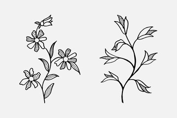 Wall Mural - Hand drawn vector design floral elements