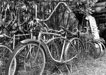 Old Bicycle In Black And Whited