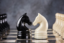 White And Black Chess Knights Confronting On The Chessboard. Business Strategy, Competition, Challenge Or Disagreement Concept.