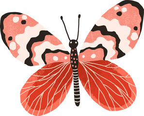 Beautiful Butterfly Colored Illustration 