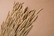 sheaf of yellow wheat on brown background, concept, close-up