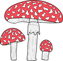 Forest Fly Agaric Mushroom Hand Drawn Line Art Illustration