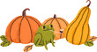 Pumpkins Composition with Frog Doodle Illustration