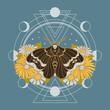 moth, cycles of the moon and flowers, mystical symbol, t-shirt print