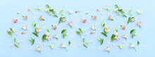 Top View Image Of Pink And Green Flowers Composition Over Blue Background .Flat Lay
