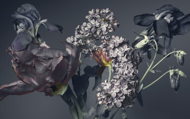 Wall Mural - irises lilac and peonies on a gray background, close-up, studio shot.