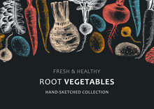 Root Vegetables Background. Root Plants Sketches Design On Chalkboard. Garden Vegetable Vector Banner. Hand-sketched Beet, Radish, Daikon, Celery, Turnip Illustration For Menu, Recipe, Packaging.