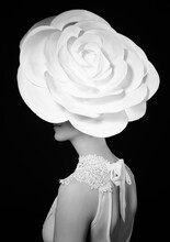 Luxury Lifestyle, Vogue And Style Concept-black And White Portrait Of Stylish Young Lady With Big White Rose On The Head, Isolated On Black Background, Fashionable Model Wearing Glamorous Floral Hat