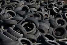 Landfill With Old Tires And Tyres For Recycling. Reuse Of The Waste Rubber Tyres. Disposal Of Waste Tires. Worn Out Wheels For Recycling. Regenerated Tire Rubber Produced.