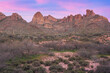 Spring landscape of the Superstition Wilderness Area at twilight,  Apache Trail, Tonto National Forest, Arizona, USA